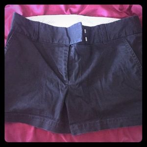 Loft shorts
